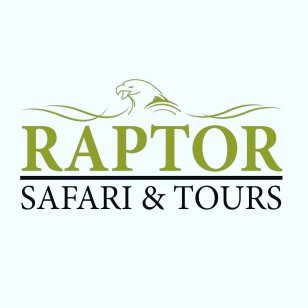 Raptor Safari and Tours